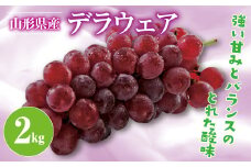 FYN9-383 《2025年先行予約》山形県産 デラウェア 2kg 2025年8月上旬から順次発送 種無し 食べやすい ぶどう ブドウ 葡萄 くだもの 果物 フルーツ 夏果実 自宅 家庭 産地直送 農家直送 山形県 西川町 月山