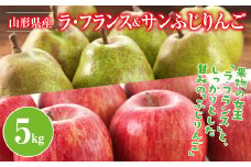 FYN9-384 山形県産 ラ・フランス サンふじりんご 詰合せ 5kg 2025年11月中旬から順次発送 洋梨 ラフランス 林檎 りんご リンゴ 秋果実 果物 くだもの フルーツ 自宅用 産地直送 期間限定 山形県 西川町 月山