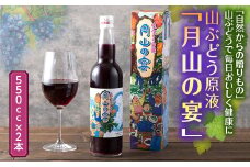 FYN9-424 山ぶどう原液「月山の宴」 2本 ブドウ 飲料 山形県 西川町