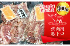 FYN9-440 《希少部位！数量限定》【月山maltポーク】山形県産焼肉用豚トロ 400g 豚肉 山形県 西川町