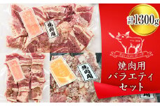 FYN9-441 【月山maltポーク】山形県産 焼肉用バラエティセット 豚肉 山形県 西川町