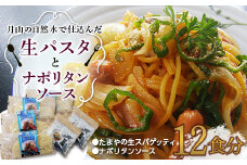 FYN9-480 【玉谷製麺所】たまやの生パスタ・ナポリタンセット（12食分）めん 麺 麺類 山形県 西川町