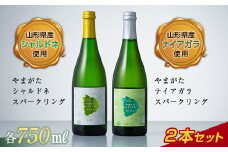 FYN6-109 数量限定 月山トラヤワイナリー スパークリングワイン 2本セット（シャルドネ・ナイアガラ） 山形県 西川町