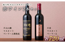 FYN9-748 月山トラヤワイナリー 赤ワイン 2本セット（月虎マスカットべーリーA ＆ 月山山麓マスカットべーリーA樽熟成） 山形県 西川町