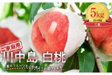 FYN9-554 ご家庭用 山形県産 川中島 白桃 5kg (12～18玉) 2025年8月下旬から順次発送 硬め 柔らかくなる 有袋 もも モモ 桃 フルーツ くだもの 果物 夏果実 家庭用 自宅用 お取り寄せ 期間限定 産地直送 山形県 西川町 月山