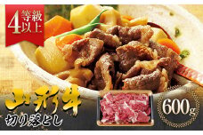FYN9-558 【事業者支援】山形県産 黒毛和牛 ≪４等級以上≫ 山形牛 切り落とし 約600g 牛肉