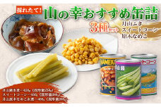 FYN9-543 採れたて山の幸 山菜 きのこなど おすすめ缶詰3種セット（月山ふき・スイートコーン・原木なめこ） 水煮 加工食品 山形県 西川町