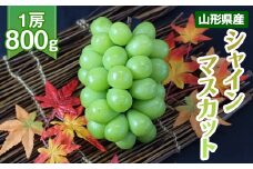 FYN9-592 《2025年先行予約》山形県産 シャインマスカット 約800g 1房 2025年9月下旬から順次発送 ぶどう ブドウ 葡萄 マスカット 大粒 種なし 高級 くだもの 果物 フルーツ 秋果実 贈り物 贈答 ギフト プレゼント 産地直送 山形県 西川町 月山