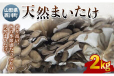 FYN9-591 《先行予約》 山形県西川町産 天然まいたけ 2kg きのこ 炊き込みご飯 天ぷら 山形県 西川町