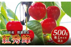 FYN9-602 《2025年先行予約》山形県産 さくらんぼ 紅秀峰 500g 秀 L以上 バラパック詰め 2025年6月中旬から順次発送 果実 果物くだもの フルーツ 桜桃 サクランボ 化粧箱 贈り物 ギフト 贈答用 家庭用 自宅用 産地直送 山形県 西川町 月山