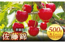 FYN9-601 《2025年先行予約》山形県産 さくらんぼ 佐藤錦 500g 秀 L以上 バラパック詰め 2025年6月上旬から順次発送 果実 果物くだもの フルーツ 桜桃 サクランボ 化粧箱 贈り物 ギフト 贈答用 家庭用 自宅用 産地直送 山形県 西川町 月山