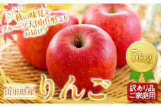 FYN9-600 《2025年先行予約》ご家庭用 山形県産 りんご 5kg 2025年11月下旬から順次発送 林檎 リンゴ 秋果実 冬果実 果物 くだもの フルーツ 訳あり 農業者 農家 支援 自宅 家庭 産地直送 山形県 西川町 月山