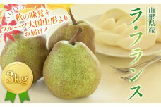 FYN9-595 ≪2025年先行予約≫山形県産 西洋梨 ラ・フランス 3kg (8～12玉) 2025年11月上旬から順次発送 洋梨 洋なし ラフランス 秋果実 果物 くだもの フルーツ ギフト 産地直送 山形県 西川町 月山