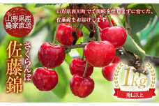 FYN9-631 ≪先行予約≫【農家直送】山形県産 さくらんぼ 佐藤錦 1kg 秀 L以上 バラパック詰め（2024年6月下旬から順次発送）