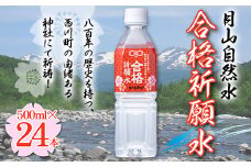 FYN9-694 合格祈願 月山自然水 500ml×24本 天然水 自然水 軟水 水 ナチュラルミネラルウォーター 合格 祈願 必勝 中学校 高校 大学 受験 入試 山形県 西川町 月山