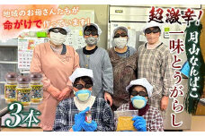 FYN9-733 山形県 西川町産 唐辛子使用！ 月山なんばこ 超激辛 3本セット 調味料 食品 香辛料 スパイス 唐辛子 とうがらし 辛い 手作り 命がけ 山形県 西川町 月山