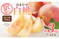 FYN9-731 ≪2025年先行予約≫ ご家庭用 8月発送 山形県産 品種おまかせ 白桃 約3kg(7～13玉) 2025年8月上旬から順次発送 はくとう 桃 もも モモ 果物 くだもの 夏果実 フルーツ 訳あり 農業者支援 家庭用 自宅用 産地直送 山形県 西川町 月山