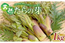 FYN9-780 《先行予約》『山菜ときのこの里西川町』 山里の春の香り 天然たらの芽 1kg