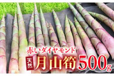 FYN9-783 《先行予約》『山菜ときのこの里西川町』 月山の初夏の香り 天然月山筍 500g 筍 たけのこ タケノコ