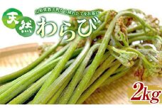 FYN9-781 《先行予約》『山菜ときのこの里』 山里の春の香り 天然わらび 2kg