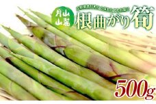 FYN9-782 《2025年先行予約》『山菜ときのこの里』 月山山麓の根曲がり筍(休耕地栽培) 500g 2025年5月中旬頃から順次発送 山菜 さんさい 野菜 やさい根曲がり筍 ねまがりだけ 筍 たけのこ 家庭 自宅 料理 天ぷら 煮物 産地直送 山形県 西川町 月山