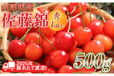 FYN6-028 ≪先行予約≫2025年 山形県産 さくらんぼ 佐藤錦 500g 秀/L以上 バラパック詰め 2025年6月中旬頃より発送 果物 くだもの フルーツ 夏果実 サクランボ 桜桃 高級 贈答 ギフト 山形県 西川町