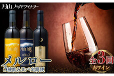 FYN6-102 【月山トラヤワイナリー】 メルロー 赤ワイン 3種 飲み比べ 定期便 3回 赤ワイン 山形 西川町 酒