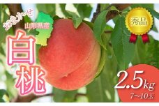 FYN9-894 ≪2025年先行予約≫贈答用 山形県産 おまかせ 白桃 2.5kg(7～10玉) 秀品 2025年8月下旬から順次発送 柔らかくなる桃 夏果実 果実 果物 くだもの フルーツ 桃 もも ピーチ 化粧箱 贈答 ギフト プレゼント 産地直送 山形県 西川町 月山