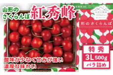FYN9-905 《先行予約》贈答用 2024年 山形県産 さくらんぼ 紅秀峰 特秀 3L バラ詰 500g 果物 くだもの フルーツ 夏果物 サクランボ チェリー 高級 ギフト 産地直送 山形県 西川町 月山