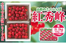 FYN9-906 《先行予約》 2024年 山形県産 さくらんぼ 紅秀峰 秀 2L バラ詰 2kg(500g×4) 果物 くだもの フルーツ 夏果物 サクランボ チェリー 高級 ギフト 産地直送 山形県 西川町 月山