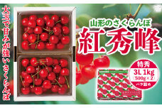 FYN9-907 《先行予約》贈答用 2024年 山形県産 さくらんぼ 紅秀峰 特秀 3L バラ詰 1kg(500g×2) 果物 くだもの フルーツ 夏果物 サクランボ チェリー 高級 ギフト 産地直送 山形県 西川町 月山