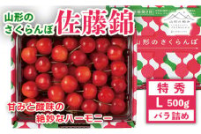 FYN9-912 贈答用 山形県産 さくらんぼ 佐藤錦 500g 特秀 L バラ詰め 2025年6月中旬から順次発送 果物 くだもの フルーツ 果実 チェリー 桜桃 贈答 贈り物 ギフト プレゼント ギフト箱 期間限定 産地直送 山形県 西川町 月山