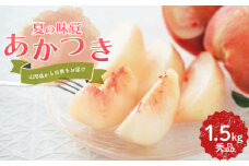 FYN9-895 ≪2025年先行予約≫ 贈答用 山形県産 白桃 あかつき 1.5kg(5～7玉) 秀品 2025年7月下旬から順次発送 柔らかくなる桃 果物 くだもの フルーツ 夏果実 桃 もも ピーチ 化粧箱 ギフト箱 贈答 ギフト プレゼント 中元 自宅 家庭 産地直送 山形県 西川町 月山