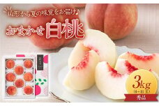 FYN9-916 ≪2025年先行予約≫贈答用 山形県産 おまかせ 白桃 約3kg(6～11玉)秀品 2025年8月上旬から順次発送 夏果実 果実 果物 くだもの フルーツ 桃 もも ピーチ 化粧箱 贈答 ギフト プレゼント 産地直送 山形県 西川町 月山