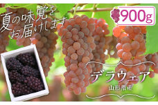 FYN9-918 ≪2025年先行予約≫山形県産 デラウェア 900g(5～8 房)秀品 2025年8月上旬から順次発送 種無し 小粒 食べやすい ぶどう ブドウ 葡萄 くだもの 果物 フルーツ 夏果実 箱入り 中元 贈り物 ギフト 自宅 家庭 産地直送 山形県 西川町 月山