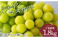 FYN9-914 ≪2025年先行予約≫ご家庭用 山形県 シャインマスカット約1.8kg（2～4 房） 2025年9月上旬から順次発送 大粒 種なしぶどう ブドウ マスカット 葡萄 果物 くだもの フルーツ 秋果実 産地直送 数量限定 訳あり ご自宅用 農家 農業者 支援品 山形県 西川町 月山