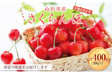 FYN9-925 ≪2025年先行予約≫山形県産 おまかせ さくらんぼ 秀品 400g（200g×2パック） 2025年6月中旬から順次発送 小分け 果実 果物くだもの フルーツ 桜桃 サクランボ 化粧箱 フードパック 家庭用 自宅用 産地直送 山形県 西川町 月山