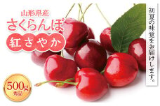 FYN9-937 ≪2025年先行予約≫山形県産 さくらんぼ 紅さやか 500g 秀品 M～L バラ詰め 2025年6月上旬から順次発送 酸味あり 果実 果物 くだもの フルーツ 早生 桜桃 サクランボ お菓子作り 加工 自宅用 家庭用 山形県 西川町 月山