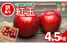FYN6-148 ≪2025年先行予約≫ ご家庭・加工用 山形県産 りんご 紅玉 4.5kg 2025年10月上旬から順次発送 中生種 早い 林檎 リンゴ こうぎょく 果物 くだもの フルーツ 秋果実 訳あり 加工用 家庭用 自宅用 産地直送 期間限定 山形県 西川町 月山