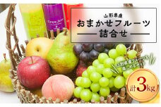 FYN9-939 ≪2025年先行予約≫ 山形県産 おまかせフルーツ 詰合せ 3kg 2025年10月上旬から順次発送 果実 果物 くだもの フルーツ 秋果実 桃 もも 葡萄 ぶどう すもも プラム 梨 なし 洋梨 洋なし 林檎 リンゴ 加工品 食べ比べ 贈答 ギフト プレゼント 自宅用 家庭用 産地直送 山形県 西川町 月山