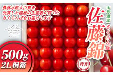 FYN9-948 ≪先行予約≫ 贈答用 2024年 山形県産 さくらんぼ 佐藤錦 500g 特秀 2L 並べ詰 桐箱 2024年6月下旬頃から順次発送  果物 くだもの フルーツ 夏果物 サクランボ チェリー 高級 ギフト 産地直送 山形県 西川町 月山