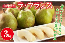 FYN9-944 山形県産 ラ・フランス 3kg 2025年11月上旬から順次発送 洋梨 ラフランス 秋果実 果物 くだもの フルーツ 自宅用 産地直送 期間限定 山形県 西川町 月山