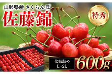 FYN9-950 ≪先行予約≫ 贈答用 2024年 山形県産 さくらんぼ 佐藤錦 化粧詰め 600g 特秀 L～２L 2024年6月中旬頃から順次発送 果物 くだもの フルーツ 夏果物 サクランボ チェリー 高級 ギフト 産地直送 山形県 西川町 月山