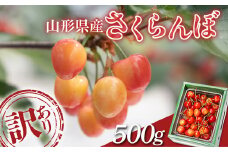 FYN9-962 ≪農業者支援品≫2024年 山形県 加工用 品種おまかせ 訳あり さくらんぼ 500g バラパック 2024年6月中旬頃から順次発送 果物 くだもの フルーツ 夏果物 サクランボ チェリー ご自宅用 ご家庭用 産地直送 山形県 西川町 月山