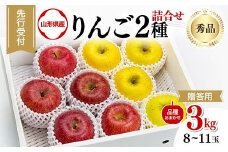 FYN9-966 ≪2025年先行予約≫ 贈答用 山形県産 りんご 品種おまかせ 2種詰合せ 秀品 3kg（8～11玉）2025年10月中旬から順次発送 2色 赤・黄 食べ比べ セット フルーツ 果物 りんご リンゴ 山形県 西川町 月山