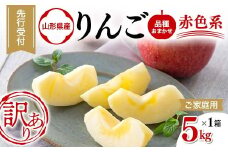 FYN9-968 ≪2025年先行予約≫ ご家庭用 山形県産 品種おまかせ りんご 赤色系 5kg 2025年10月上旬から順次発送 果物 くだもの フルーツ 林檎 リンゴ アップル 秋果実 生産者支援 農業者支援 支援品 自宅用 家庭用 訳アリ ワケアリ 山形県 西川町 月山