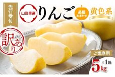 FYN9-969 ≪2025年先行予約≫ ご家庭用 山形県産 品種おまかせ りんご 黄色系 5kg 2025年10月上旬から順次発送 林檎 リンゴ 果物 くだもの フルーツ 秋果実 冬果実 家庭用 自宅用 訳あり 農業者 農家 支援品 西川町 月山