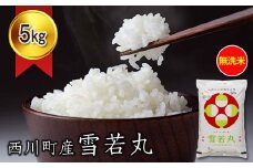 FYN6-077 令和6年度 山形県 西川町産 無洗米 雪若丸 5kg  精米 白米 米 こめ ライス ご飯 ブランド米 時短 節水 西川町 月山