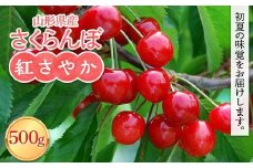 FYN6-051 ≪2025年先行予約≫山形県産 さくらんぼ 紅さやか 500g  M～L バラパック詰め 2025年6月上旬から順次発送  果実 果物 くだもの フルーツ 早生 桜桃 サクランボ  自宅用 家庭用 山形県 西川町 月山