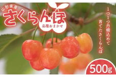FYN6-053 ≪2026年先行予約≫山形県 品種おまかせ さくらんぼ 500g M～L 秀品 バラパック 2026年6月上旬頃から順次発送  果物 くだもの フルーツ 夏果物 サクランボ チェリー ご自宅用 ご家庭用  山形県 西川町 月山